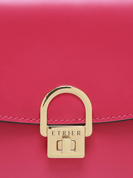 Crossbody Bag Altair Leather Etrier Pink altair EALA134X other view 5